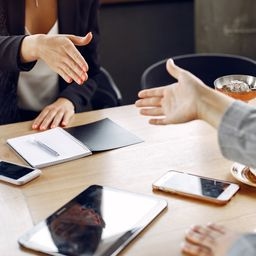 Professionaalsed läbirääkimised