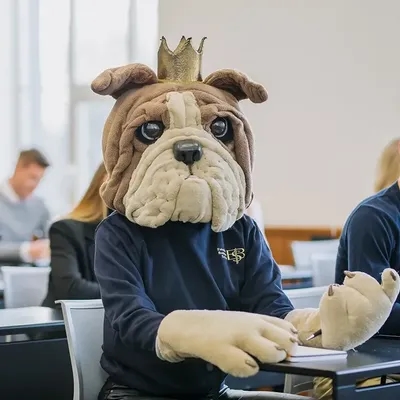 Mascot in classroom buldog.